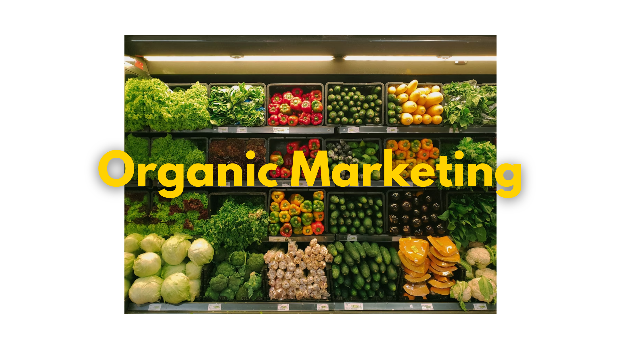 organic marketing